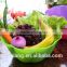 Wholesale plastic fruit vegetable basket / plastic fruit vegetable storage basket