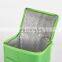 cooler bag with lunch box