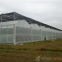 Durable Multi Span Agriculture Equipment Polythene Greenhouse