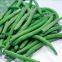 Frozen green beans