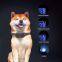 Remote control electric shock collar anti barking device