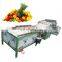 stainless steel apple/pear/mango/fruit/vegetable washing/cleaning/processing machine/equipment