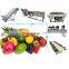 High Quality Fruits and Vegetables Washing and Drying Processing Line leaves vegetables Cleaning Production Line