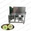 industrial olive pitter machine from Elva