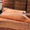 0.25mm 3mm gurjan wood ev gurjan veneer board