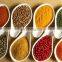 Factory Genyond spray dried freeze dried instant powder & whole ground fruit powder making machine fruit flour production line
