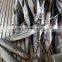 Frozen Whole round spanish mackerel (scomberomorus Niphonius)