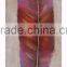 Feather Oil Painting