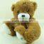 big teddy bear 200cm custom plush toy/plush brown bear toy/soft plush brown bear toy
