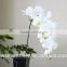 High simulation butterfly orchid a plastic handle Great branches 11 head simulation flowers/wedding decoration