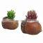Nature Inspired Acorn Windowsill Planter Decorative Small Succulent Plant Pot Garden Art