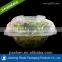 China Manufacturer plastic vegetables boxes for packaging
