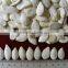 Crop 2015 Pumpkin Snow White Seeds,11cm 13cm 13mm 14cm                        
                                                Quality Choice