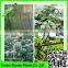 Heavy Duty Long-lasting Flexible Trellis Netting Plant Support Web