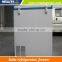 High performance 12v 24v solar refrigerator fridge freezer