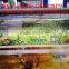 UV led hybrid printer for banner popular model vinyl printing machine