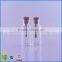 Small Glass Crafts With Hanging Drop in Glass Bottle