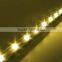CE ROHS Approved Professional DC12V 20MM Single Color SMD 5050 Led Pixel Light With Long Lifespan