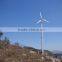 factory price 30kW small wind turbine wholesale
