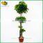 Hot sale artificial money plant tree plastic artificial money tree