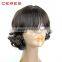 2016 Wholesale high quality brazilian virgin tina turner human hair wig