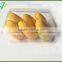 Clear disposable cheap packaging PET plastic food fruit tray