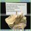 trihydrate bauxite and calcined bauxite for fire clay lumps from china factory