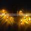 10 led string lights with pumpink cover