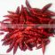 2016Dried Hot Red Chili Chaotian Hot Chili chaotian Red Chili pepper