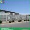 Arch roof type industrial greenhouses acrylic greenhouse polycarbonate greenhouse