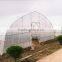 Poly Tunnel Greenhouse Single Span Greenhouse Tunnel Greenhouse for Sale