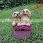 Resin garden singing dog toy decor