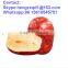 Honey Date/dried fruit/ red date wholesale dried dates