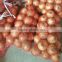 Fresh red/yellow onion high quality from China