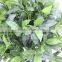 wholesale artficial topiary bay tree