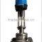 Electric single seat control valve