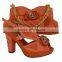 Fantastic Matching Italian Shoe and Bag Set Italian Shoes Mix Hand Bags for Lady