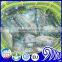 frozen tilapia wholesale price fish for canning