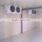 Quick-freezing Cold Storage Equipment