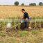 hot sell small harvester cheap price