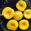 Best canned peach in syrup to South America market