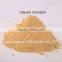 Dehydrated Ginger Powder