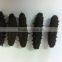 HOT!!! 100% Natural organic dried prickly sea cucumber