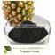 Quick released 70% HA 8% K2O 99% soluble Potassium humate and humic acid Plant root growth promoter