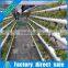2017 Huifa Commercial Professional Hydroponic Greenhouse Systems