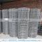 Chicken Coop Welded Mesh / Welded Wire Mesh Mew Product / Welded Wire Mesh for Birds Cage