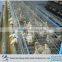 poultry chicken cages hot sale bird cages
