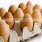 all kind of cheap 30 Cavity Paper Egg Tray