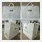 Luxury Design Customer Ordered Kraft Paper Bag for Shopping