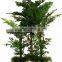 Artificial Mini palm trees and palm tree landscaping